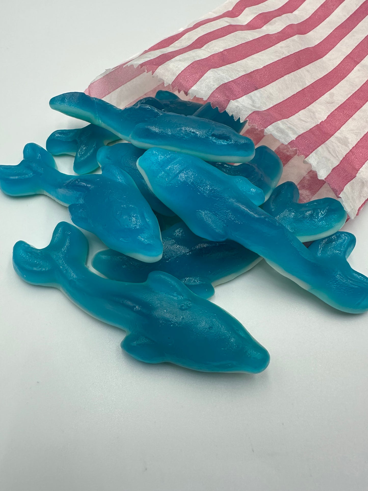 Giant Dolphins (100G Portion)