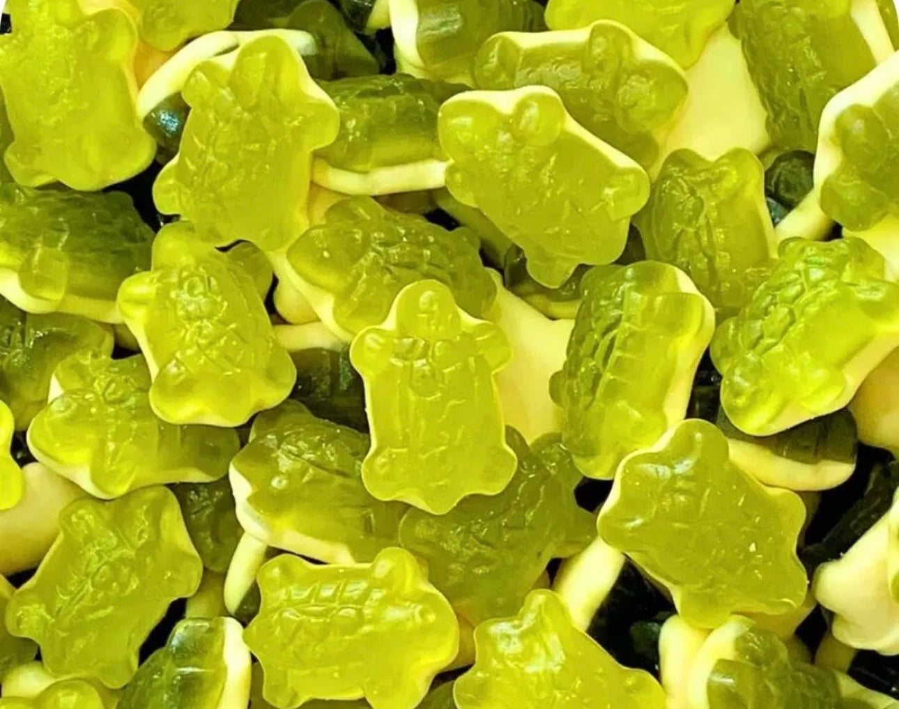 Haribo Terrific Turtles 100g