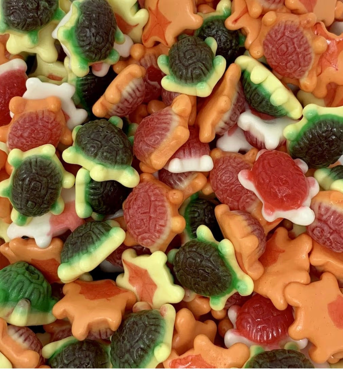 Jelly Filled Turtles 100g