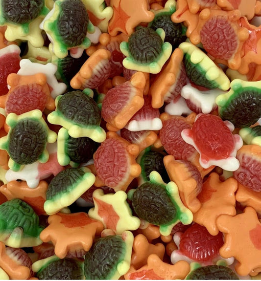 Jelly Filled Turtles 100g